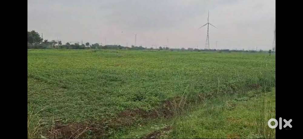 6.50 acres in maniyachi. Black soil