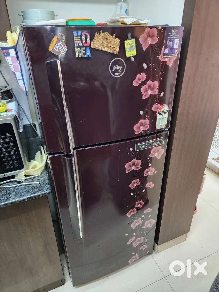 236 L Godrej Double Door Fridge