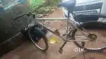 New seet tyre condition &disk brakes &clean cycle white colour