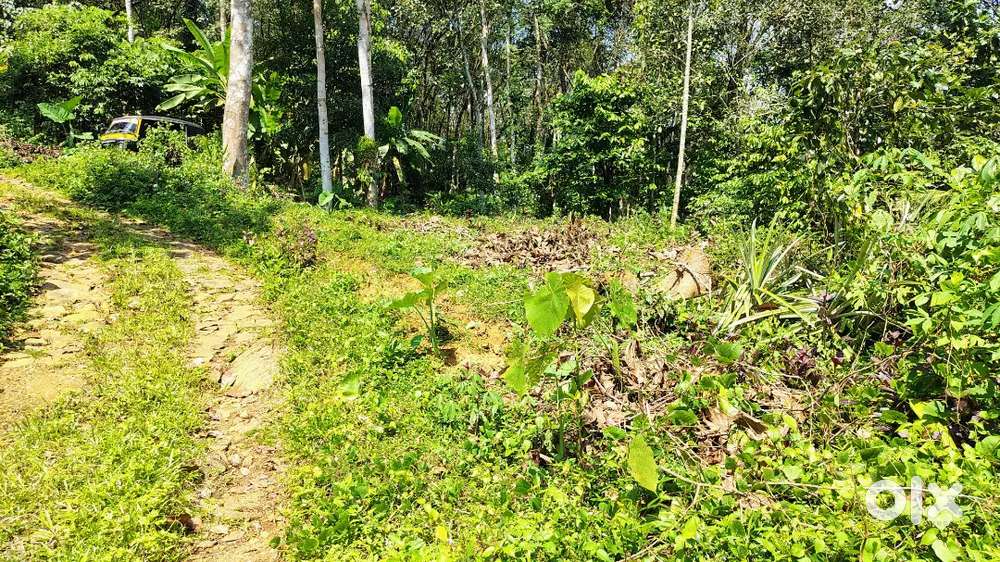 10 cent land for sale near Kochukottaram