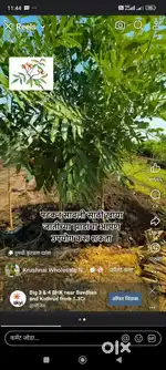Table land, near  pune Pirangut road,