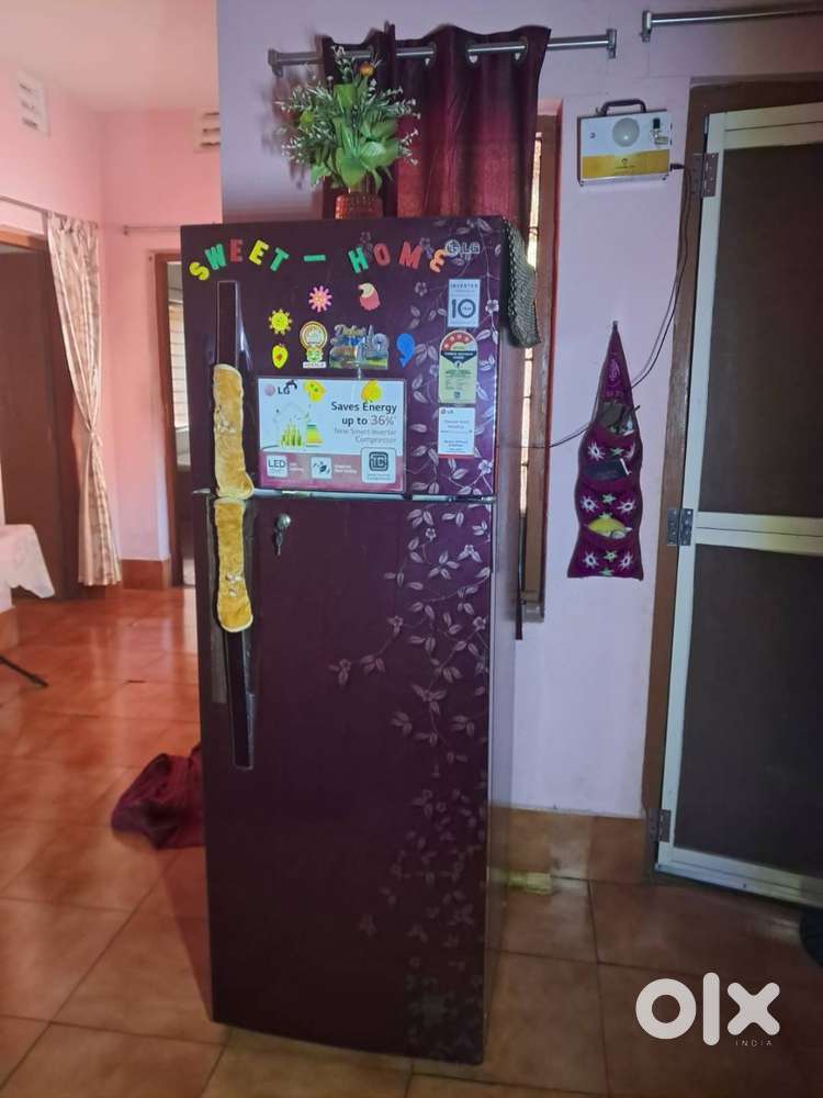 310 Lt Invertor Refrigrator