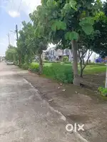 Corner plot form 4 colony