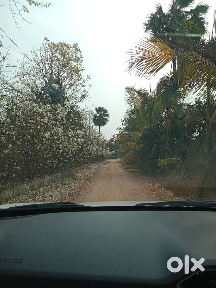 Plot for sale