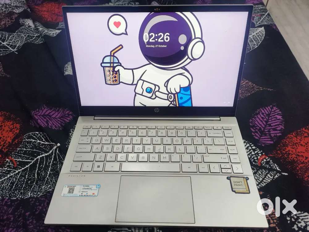 HP Pavilion 14 Series