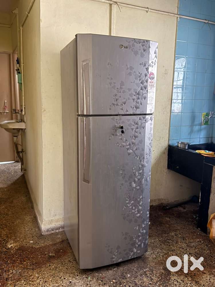 LG Double Door Fridge