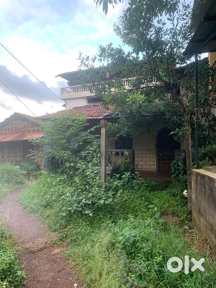 201 SQM Plot for Sale in Parra  6M Road  Old House  ₹1.10 Cr