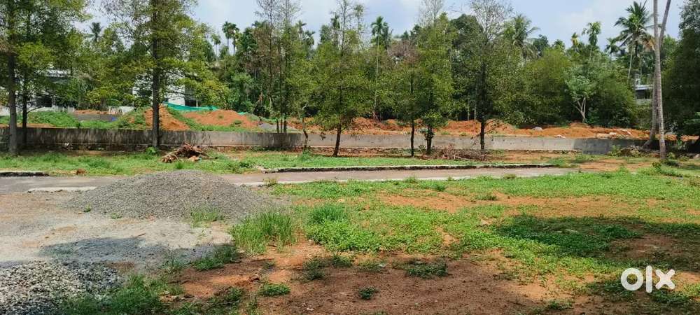 അങ്കമാലി കറുകുറ്റി നാഷണൽ ഹൈവേയിൽ നിന്നും 2km