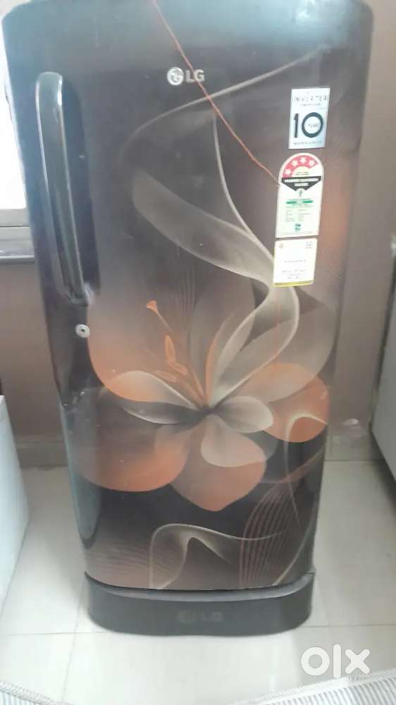 Refrigerator LG