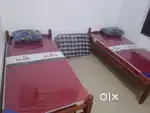 COT kattil  -  BED  -  mattress Bed  -  Divan