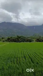 Plot for rent in Adoor