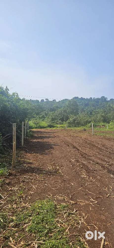 Farm plots 1100 meter 20 mins mopa airport gated society