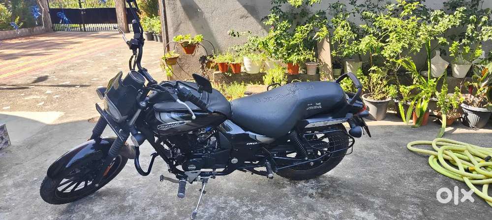 Bajaj Avenger 160cc - Excellent Condition  Only 6,500 km Driven