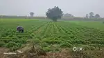 2 bigha Agriculture land near MIET public school Meerut