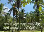 40 Cent തെങ്ങുതോപ്പ് പറമ്പ് (പുരയിടം).