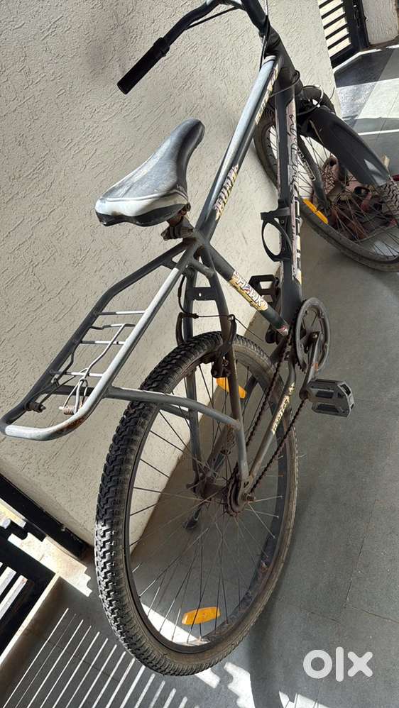 Bicycle for adult