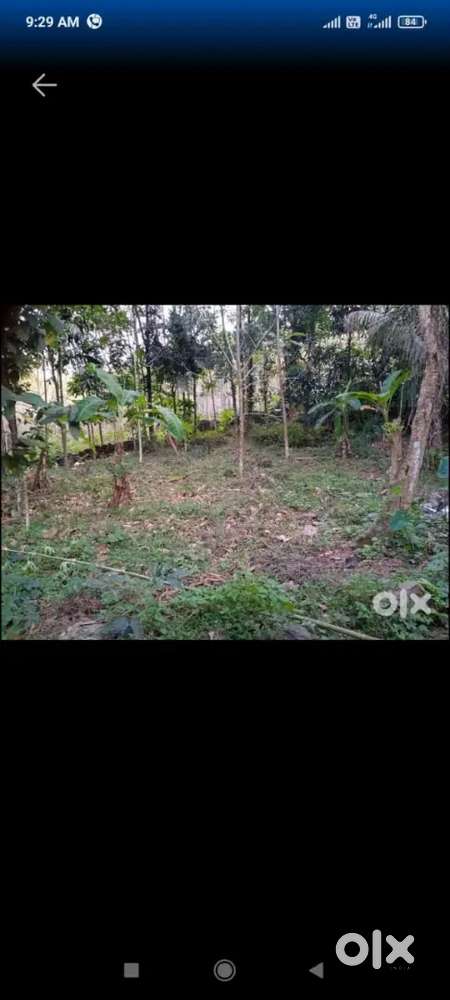 10cent house plot near Edamaruku hospital