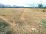 On road land for sale.