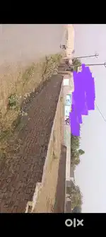 फ्रीहोल्ड प्लॉट