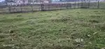 Residential land near Demow Sivsagar
