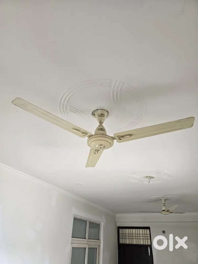Polar fan mint condition