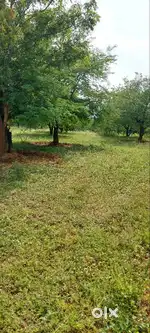 Agricultural Land for sale