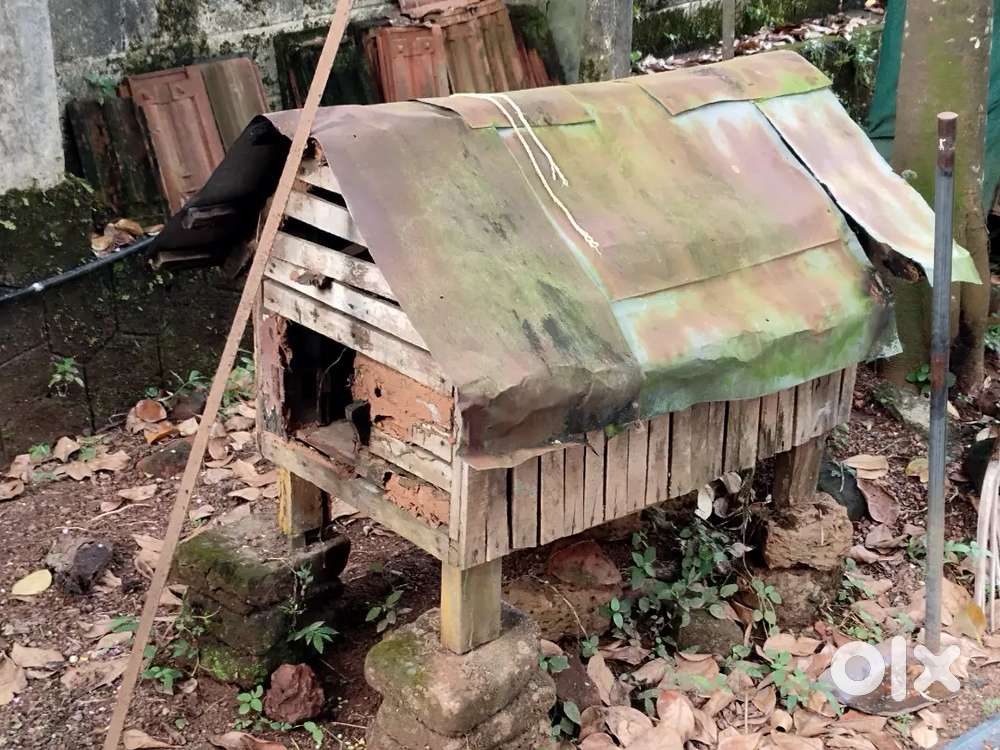 Used Wooden Chicken cage