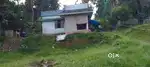 For sale house&plot