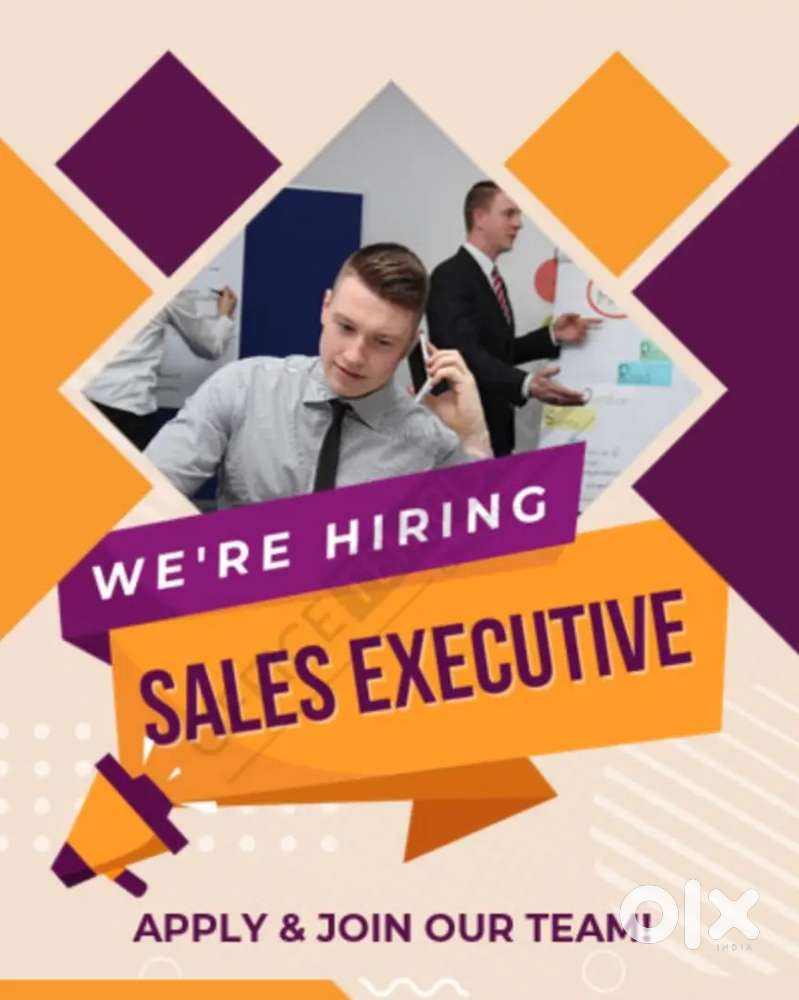 Sales Executive for Lap loans