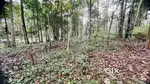 Land for Rent periyappuram