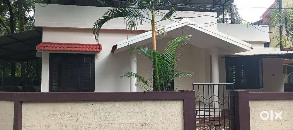 3bhk house for rent