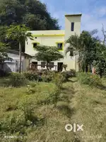 Bachelor sharing room