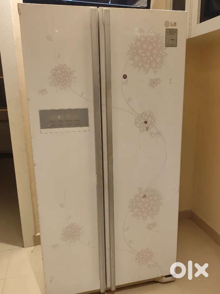 Lg side by side refrigerator