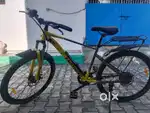 Electric cycle