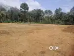 കറ്റാനം കരിമുളക്കൽ സ്ഥലം വില്പനക്ക്