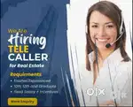 Need Female telecaller for real estate in Dwarka mor.