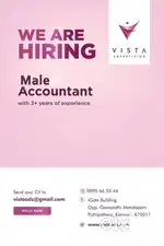 Male Accountant