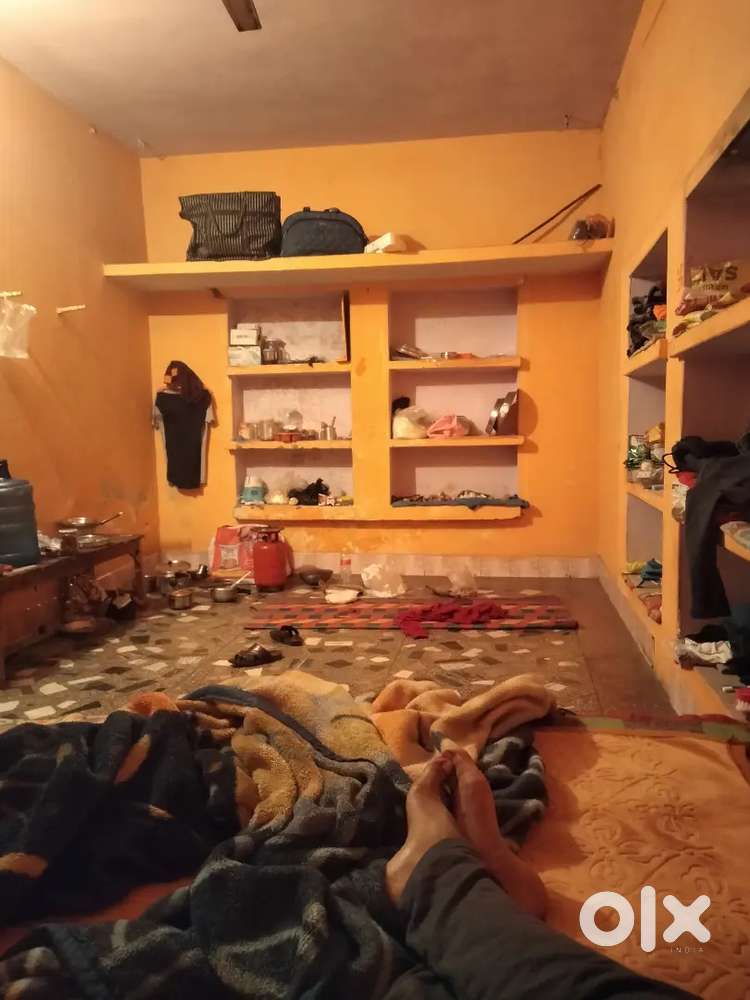 Need a Room Mate Girl Or Boy