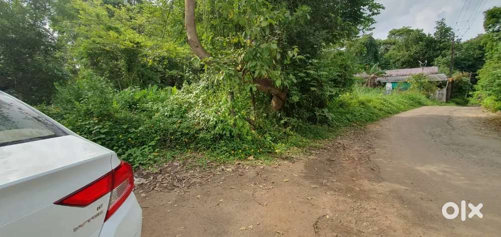 Erimayur Alathur plot for sale