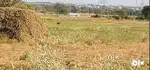 1 acre Land near Kalwakurthy