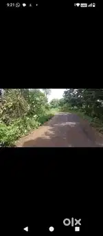 10 scent land for sale