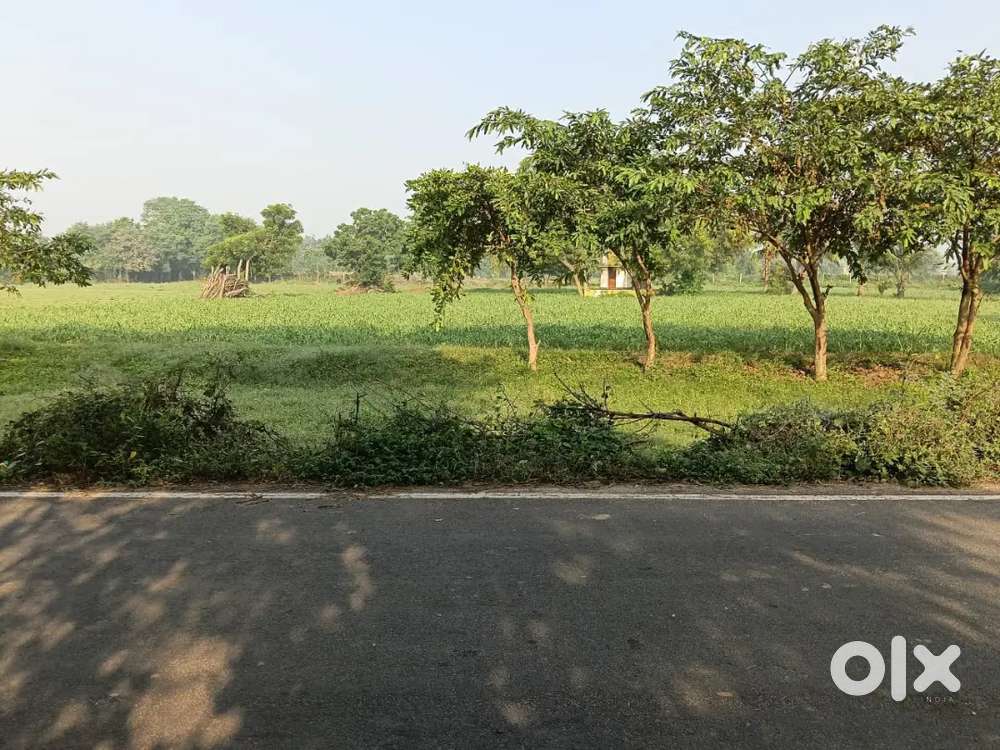 અપ્રોચ પાકો ડામર રોડ , ડાઇરેક્ટ રોડ પરની એન્ટ્રી