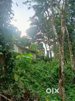 40 cent സ്ഥലവും വീടും വിൽപ്പനക്ക്