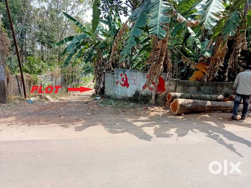4.5 CENTS (കര ഭൂമി) RESIDENTIAL PLOT FOR SALE IN KULASEKHARAM, TVM