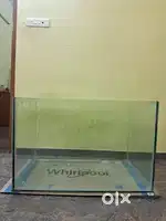 Big fish tank