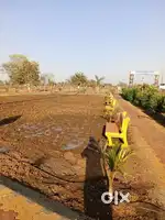 Barela main market se 4km pur
