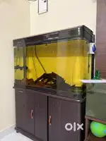 Aquarium fish tank cleaning services.