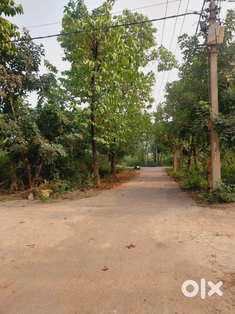 For Sale 86 Gaj Plot