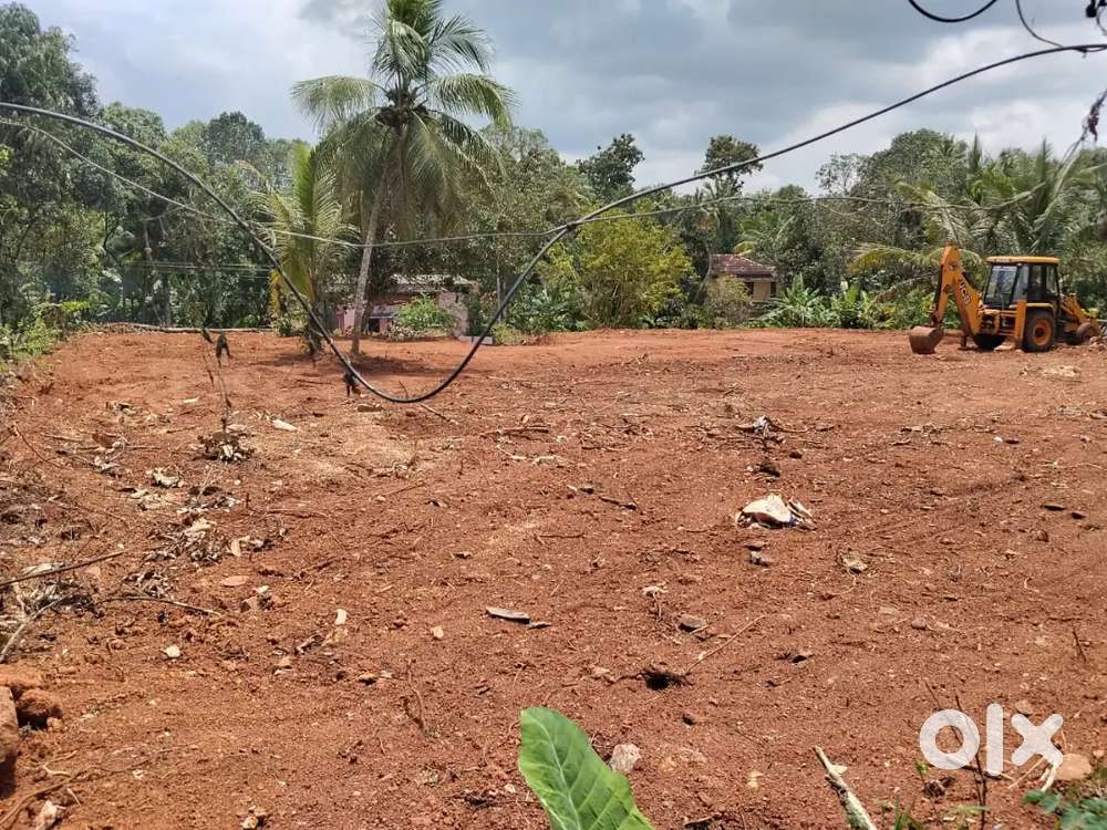 For sale land at Thiruvalla..nellad