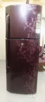 Double Door Refrigerator (LG)